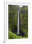 Akaka Falls, Hawaii, Big Island-Gayle Harper-Framed Photographic Print