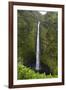 Akaka Falls, Hawaii, Big Island-Gayle Harper-Framed Photographic Print