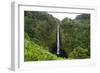 Akaka Falls, Hawaii, Big Island-Gayle Harper-Framed Photographic Print