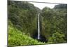 Akaka Falls, Hawaii, Big Island-Gayle Harper-Mounted Photographic Print
