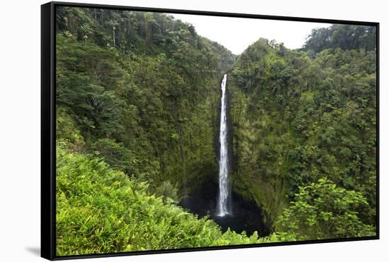 Akaka Falls, Hawaii, Big Island-Gayle Harper-Framed Stretched Canvas