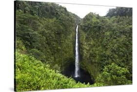 Akaka Falls, Hawaii, Big Island-Gayle Harper-Stretched Canvas