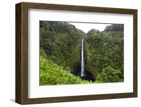 Akaka Falls, Hawaii, Big Island-Gayle Harper-Framed Photographic Print