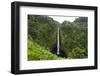 Akaka Falls, Hawaii, Big Island-Gayle Harper-Framed Photographic Print