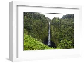 Akaka Falls, Hawaii, Big Island-Gayle Harper-Framed Photographic Print