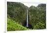 Akaka Falls, Hawaii, Big Island-Gayle Harper-Framed Photographic Print