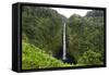 Akaka Falls, Hawaii, Big Island-Gayle Harper-Framed Stretched Canvas