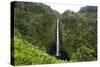 Akaka Falls, Hawaii, Big Island-Gayle Harper-Stretched Canvas