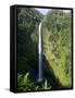 Akaka Falls, the Island of Hawaii (Big Island), Hawaii, USA-Ethel Davies-Framed Stretched Canvas