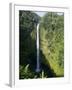 Akaka Falls, the Island of Hawaii (Big Island), Hawaii, USA-Ethel Davies-Framed Photographic Print