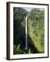 Akaka Falls, the Island of Hawaii (Big Island), Hawaii, USA-Ethel Davies-Framed Photographic Print