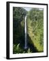 Akaka Falls, the Island of Hawaii (Big Island), Hawaii, USA-Ethel Davies-Framed Photographic Print