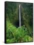 Akaka Falls-Joseph Sohm-Framed Stretched Canvas