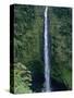 Akaka Falls-Danny Lehman-Stretched Canvas