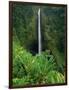 Akaka Falls-Joseph Sohm-Framed Photographic Print