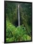 Akaka Falls-Joseph Sohm-Framed Photographic Print