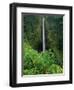 Akaka Falls-Joseph Sohm-Framed Photographic Print