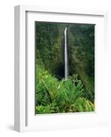 Akaka Falls-Joseph Sohm-Framed Photographic Print