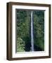 Akaka Falls-Danny Lehman-Framed Photographic Print