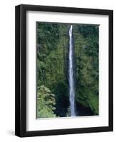 Akaka Falls-Danny Lehman-Framed Photographic Print