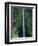 Akaka Falls-Danny Lehman-Framed Photographic Print