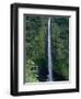 Akaka Falls-Danny Lehman-Framed Photographic Print