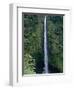 Akaka Falls-Danny Lehman-Framed Photographic Print