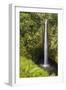 Akaka Falls-Chris Moyer-Framed Photographic Print