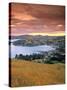 Akaroa, Banks Peninsula, South Island, New Zealand-Doug Pearson-Stretched Canvas