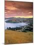 Akaroa, Banks Peninsula, South Island, New Zealand-Doug Pearson-Mounted Photographic Print