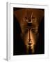 Akhenaten Statue, Pharaohs of the Sun, Luxor Museum, Amarna, Egypt-Kenneth Garrett-Framed Photographic Print