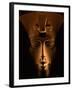 Akhenaten Statue, Pharaohs of the Sun, Luxor Museum, Amarna, Egypt-Kenneth Garrett-Framed Photographic Print