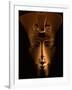 Akhenaten Statue, Pharaohs of the Sun, Luxor Museum, Amarna, Egypt-Kenneth Garrett-Framed Photographic Print