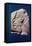 Akhenaton-null-Framed Stretched Canvas