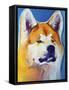 Akita - Apricot-Dawgart-Framed Stretched Canvas