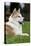 Akita Inu Dog-null-Stretched Canvas