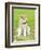 Akita Inu-f8grapher-Framed Photographic Print