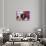 Akita Puppy Dreams-Zandria Muench Beraldo-Stretched Canvas displayed on a wall