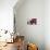 Akita Puppy Dreams-Zandria Muench Beraldo-Photographic Print displayed on a wall