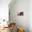 Akita Puppy Dreams-Zandria Muench Beraldo-Mounted Photographic Print displayed on a wall
