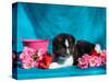 Akita Puppy with Flowers-Zandria Muench Beraldo-Stretched Canvas