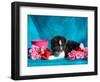 Akita Puppy with Flowers-Zandria Muench Beraldo-Framed Photographic Print