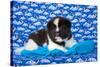 Akita Puppy with Moons and Stars-Zandria Muench Beraldo-Stretched Canvas