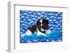 Akita Puppy with Moons and Stars-Zandria Muench Beraldo-Framed Photographic Print