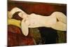 Akt Einer Schlafenden Frau (Le Grand Nu) 1917-Amedeo Modigliani-Mounted Giclee Print