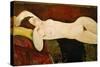 Akt Einer Schlafenden Frau (Le Grand Nu) 1917-Amedeo Modigliani-Stretched Canvas