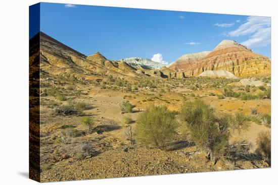 Aktau Mountains, Altyn-Emel National Park, Almaty region, Kazakhstan, Central Asia, Asia-G&M Therin-Weise-Stretched Canvas