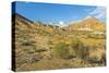 Aktau Mountains, Altyn-Emel National Park, Almaty region, Kazakhstan, Central Asia, Asia-G&M Therin-Weise-Stretched Canvas