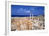 Al Athrun, Libya-Vivienne Sharp-Framed Photographic Print