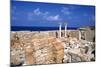 Al Athrun, Libya-Vivienne Sharp-Mounted Photographic Print